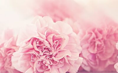 Finding balance by embodying your true Self energy