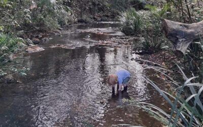 Single mothering, Part 2: learning how to be alone