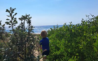 Parenting while re-parenting ourselves